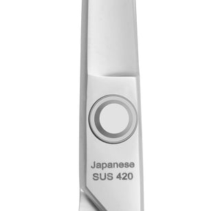BPX PRO 200 THINNING SCISSOR 6" SILVER WITH CARE KIT